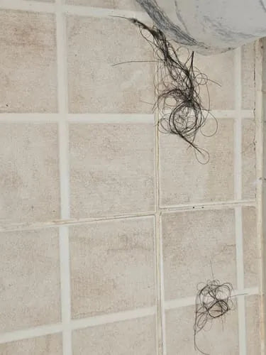 Más cabello en la regadera